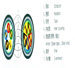 電纜結(jié)構(gòu)圖