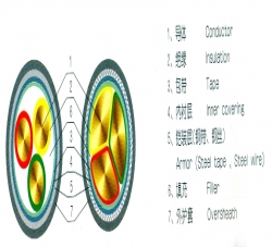 電纜結(jié)構(gòu)圖